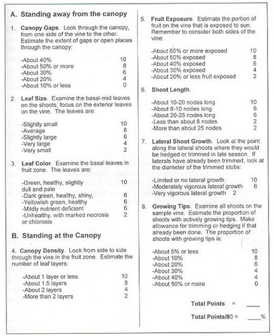 Scorecard