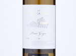 Pinot Grigio Trentino Contessa Giovanna Manci,2019