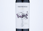 Gaudeo Single Vineyard Malbec Tupungato,2017