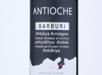 Antioche Barburi,2017