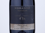 Morande Terrarum Selected Block Pinot Noir,2019