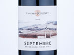 Bourgogne Pinot Noir Septembre,2018