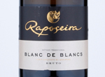 Espumante Raposeira Super Reserva Blanc de Blancs Bruto,2016