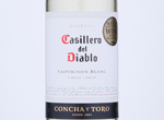 Casillero del Diablo Sauvignon Blanc,2020