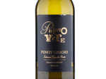 Primovere Pinot Grigio Terre di Chieti,2018