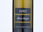 Sacchetto Janus Pinot Grigio,2019