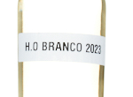 H.O Branco,2023