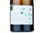 Gergenti Grillo Sicilia Organic,2023