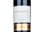 Cancellus Signature Red,2022